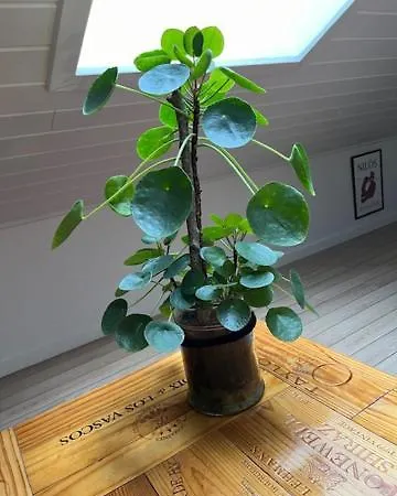 Driverhuset ベッド・アンド・ブレックファスト